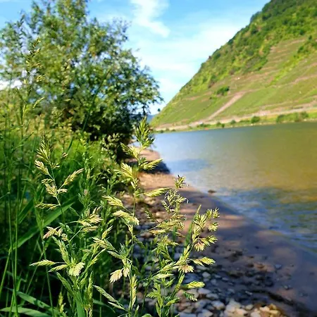 Ambiente Ii Und Iii Apartman