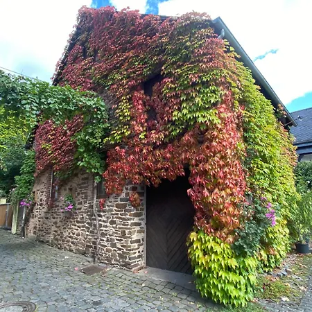 Ambiente Ii Und Iii Apartman Klotten