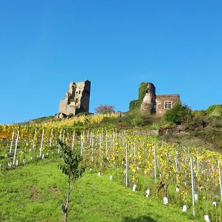 Ambiente Ii Und Iii Apartman Klotten