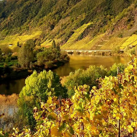 Ambiente Ii Und Iii *