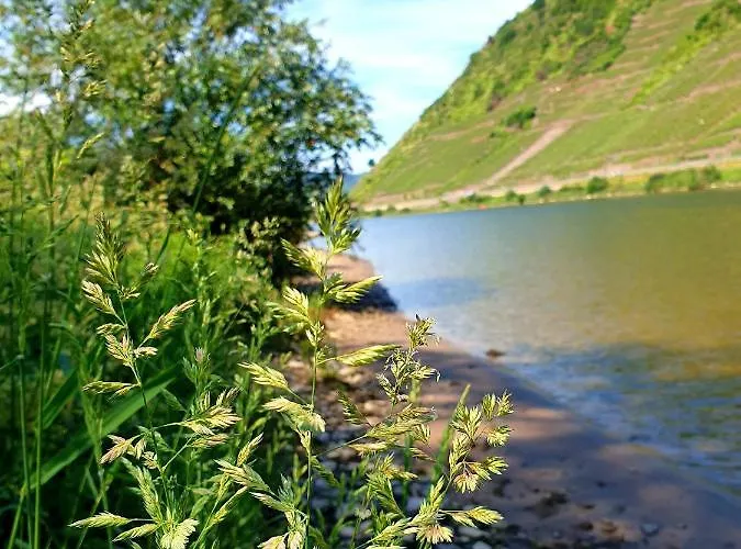 Ambiente Ii Und Iii Appartement