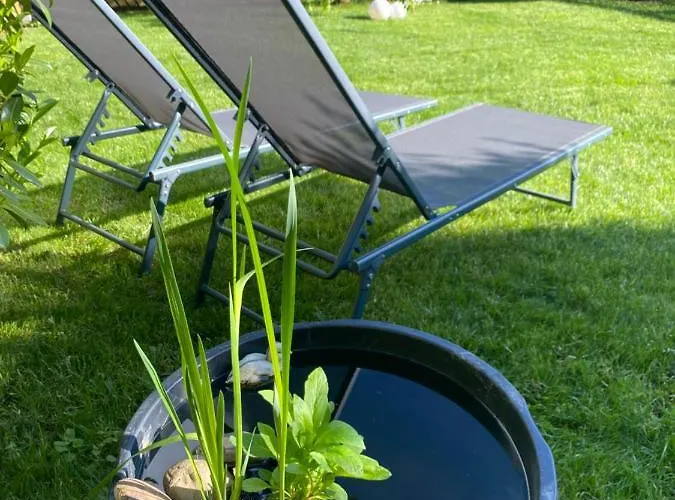 Ambiente Ii Und Iii Appartement Klotten