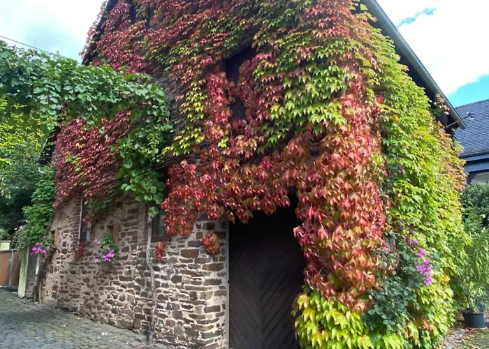 Ambiente Ii Und Iii Appartement Klotten