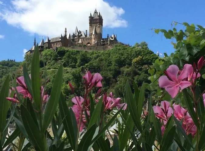 Ambiente Ii Und Iii *