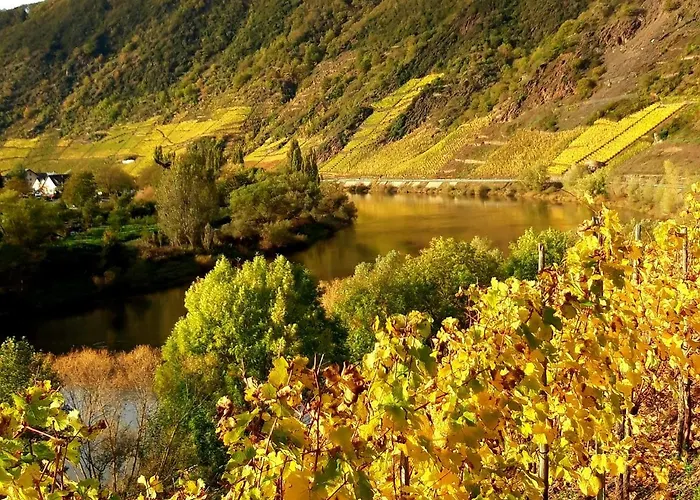 Ambiente Ii Und Iii *